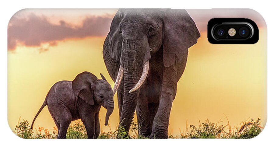 Elephants iPhone X Case featuring the photograph Elephants at Sunset by Janis Knight