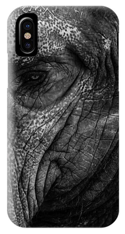 Cincinnati iPhone X Case featuring the photograph Elephants Eye by Keith Allen