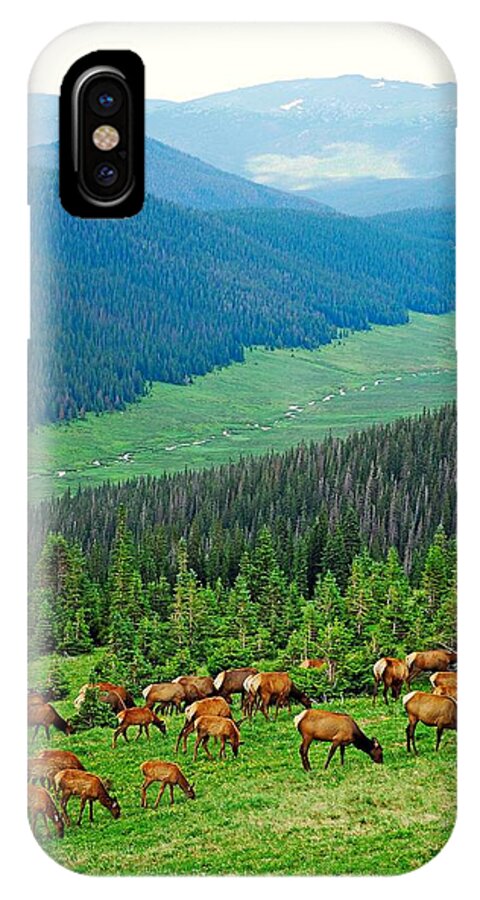 Elk iPhone X Case featuring the photograph Elk Highlands by Robert Meyers-Lussier