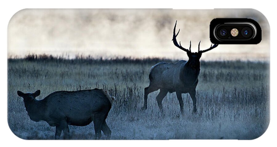 Elk iPhone X Case featuring the photograph Elk in the Mist by Wesley Aston