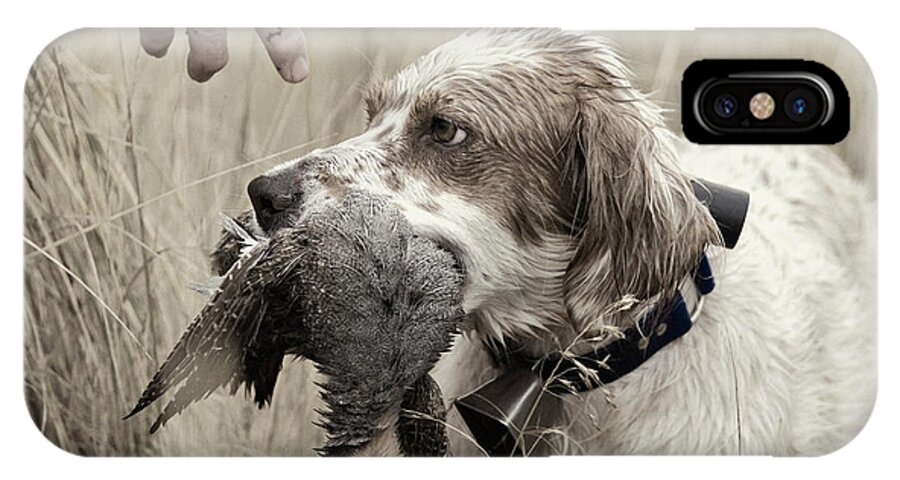 Faded iPhone X Case featuring the photograph English Setter and Hungarian Partridge - D003092a by Daniel Dempster