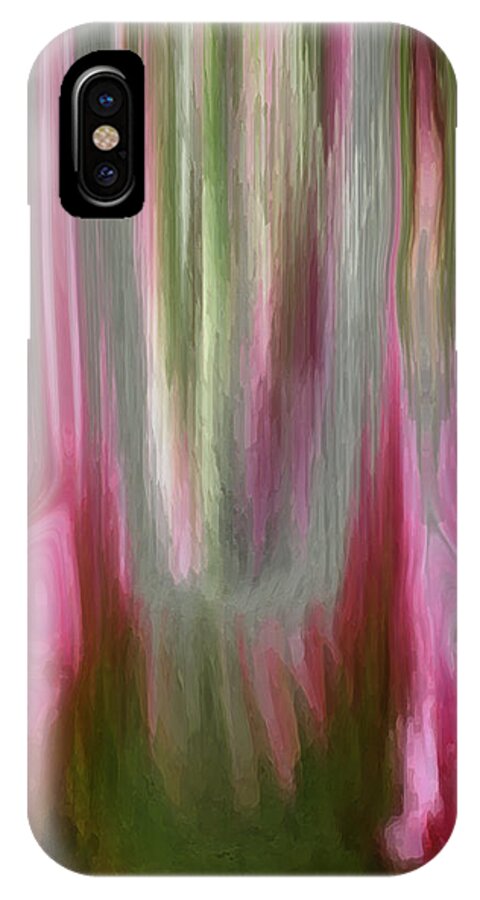 Abstract Art iPhone X Case featuring the digital art Entrance by Linda Sannuti