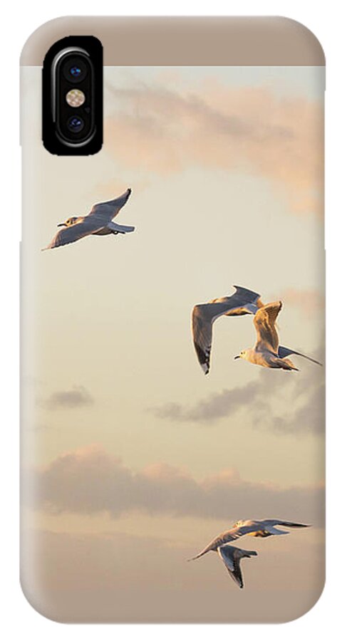 Gulls iPhone X Case featuring the photograph Evening Gulls by Wendy Cooper