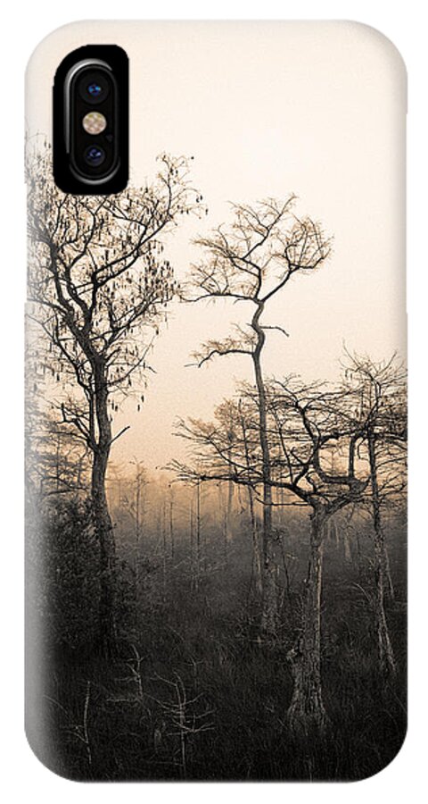 Cypress Swamp iPhone X Case featuring the photograph Everglades Cypress Stand by Gary Dean Mercer Clark