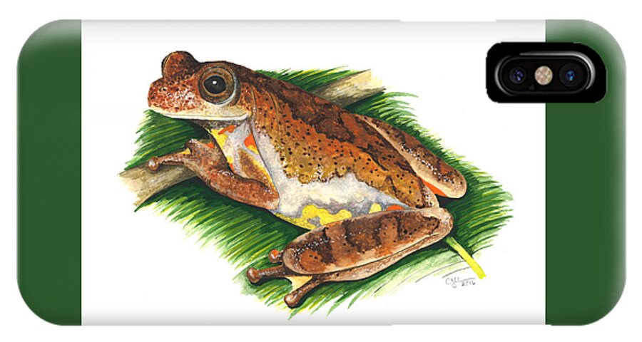 Dendropsophus Carnifex iPhone X Case featuring the painting Executioner treefrog by Cindy Hitchcock