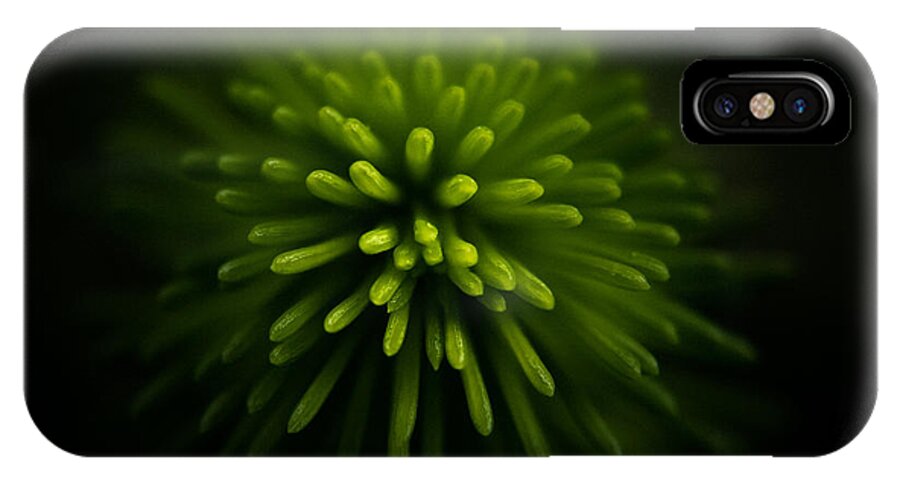 Nature iPhone X Case featuring the photograph Explosion by Peter Scott