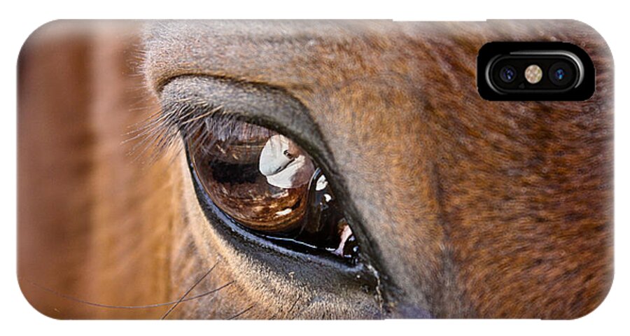 Horse iPhone X Case featuring the photograph Eye See You Too by Hannah Appleton