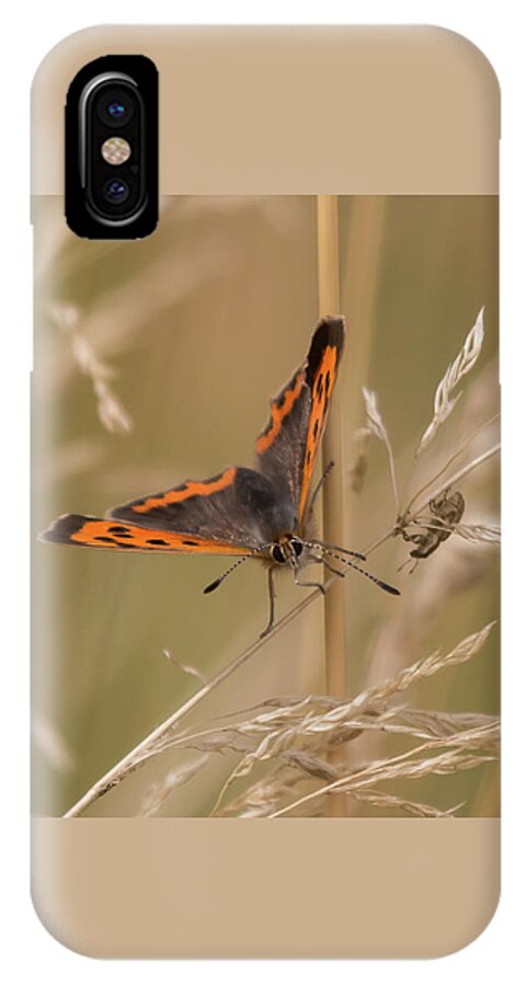 Nature iPhone X Case featuring the photograph Eye to Eye by Wendy Cooper