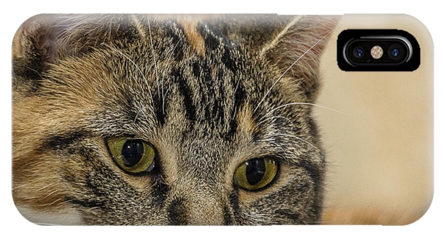 Cat iPhone X Case featuring the photograph Eyes for You by Joann Long