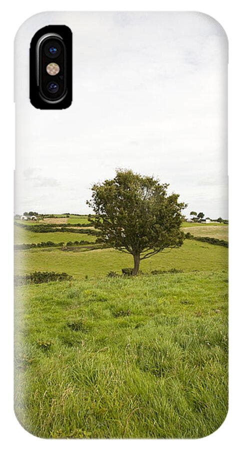 Green iPhone X Case featuring the photograph Fairy tree in Ireland by Ian Middleton