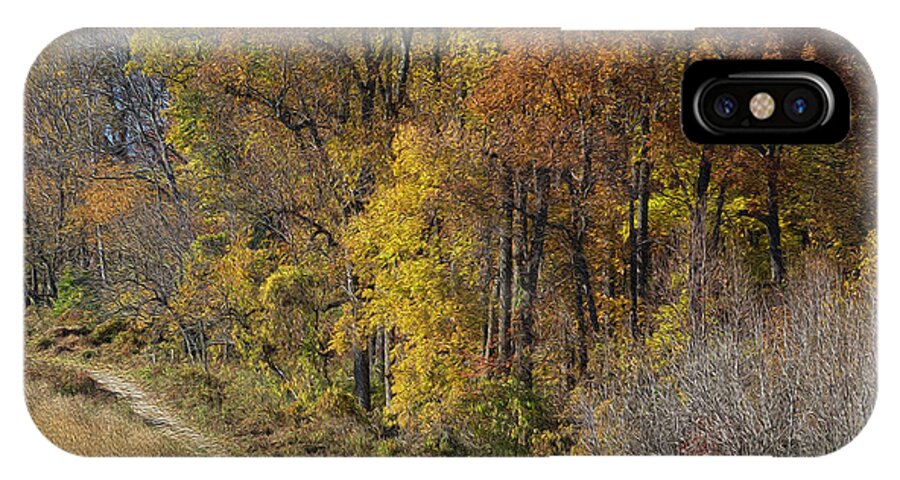 Landscape iPhone X Case featuring the photograph Fall Colors as Oil by Paul Ross
