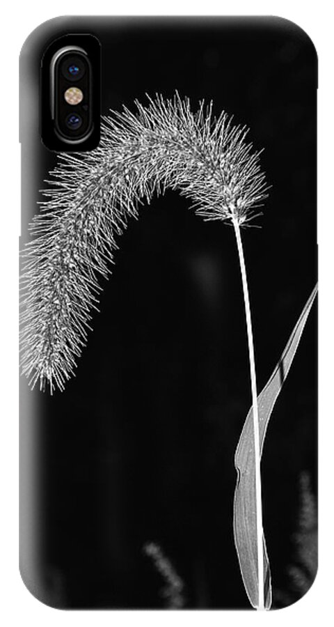 Grass iPhone X Case featuring the photograph Fall Grass 1 by Mark Fuller