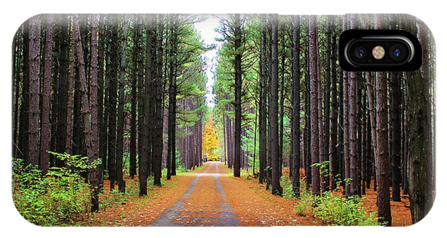 Fall iPhone X Case featuring the photograph Fall Pines Road by Laura Kinker