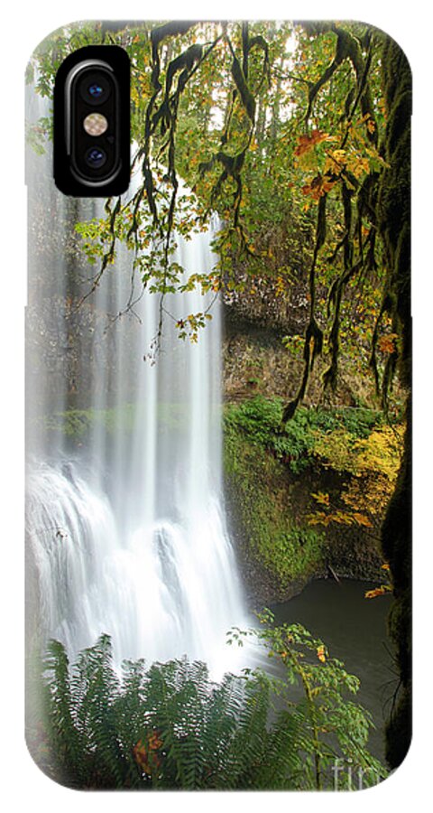 Silver Falls State Park iPhone X Case featuring the photograph Falls Though The Trees by Adam Jewell