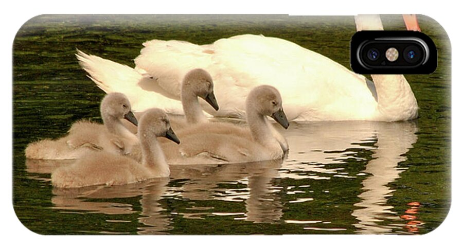 Swans iPhone X Case featuring the photograph Family Swan by Joe Ormonde