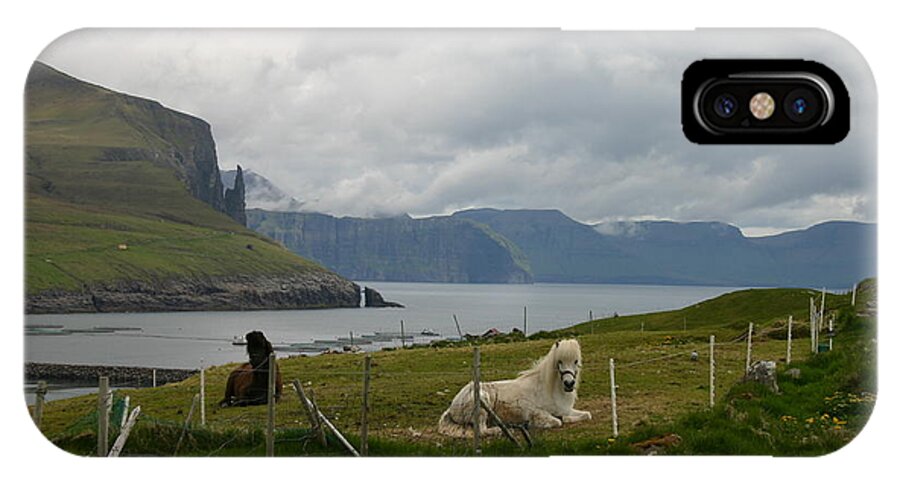 Scenery iPhone X Case featuring the photograph Faroe Islands Horses by Susanne Baumann
