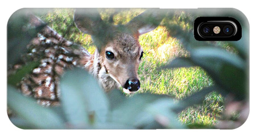 Nature iPhone X Case featuring the photograph Fawn Peeking Through Bushes by KATIE Vigil