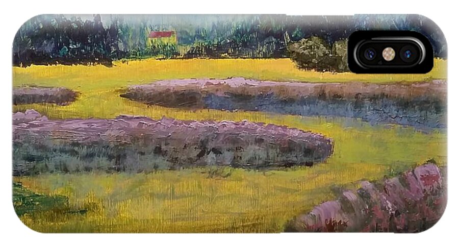 Waterscape iPhone X Case featuring the painting Fiddlers Ridge Marsh by Peter Senesac