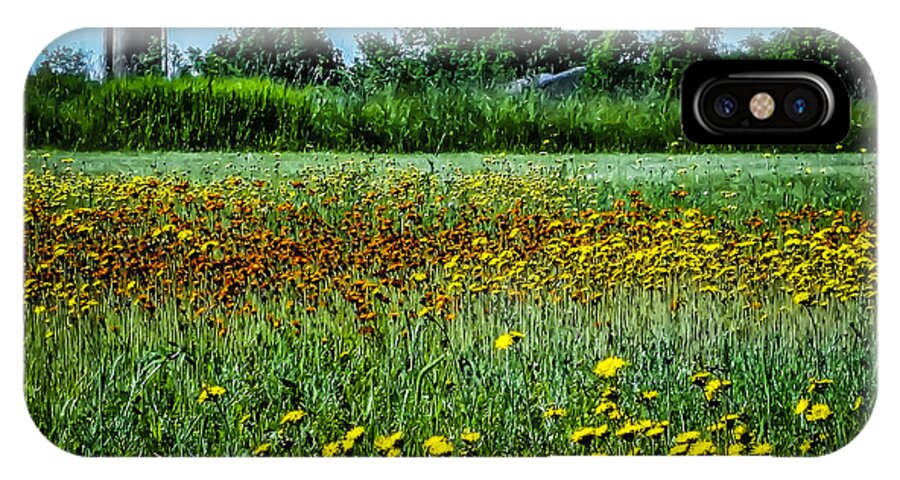 Landscape iPhone X Case featuring the photograph Field in June by Terry Ann Morris