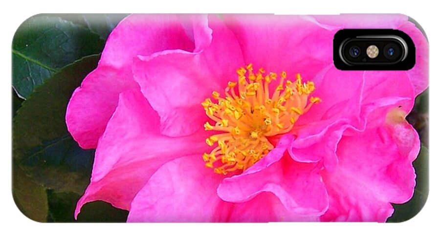 Camelia iPhone X Case featuring the photograph Firey Pink Camelia by Laurie Paci