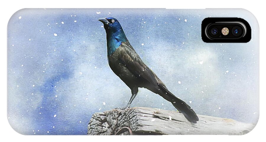 Bird iPhone X Case featuring the photograph First Snow and Common Grackle by Andrea Kollo