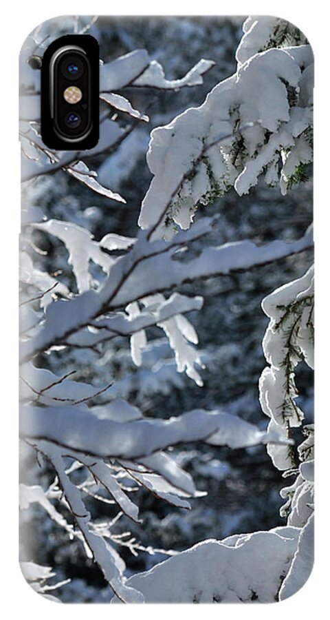 Snow iPhone X Case featuring the photograph First Snow II by Ron Cline