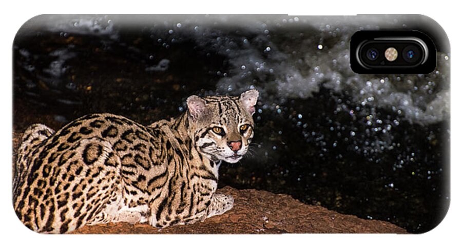 Ocelot iPhone X Case featuring the photograph Fishing in the Stream by Alex Lapidus