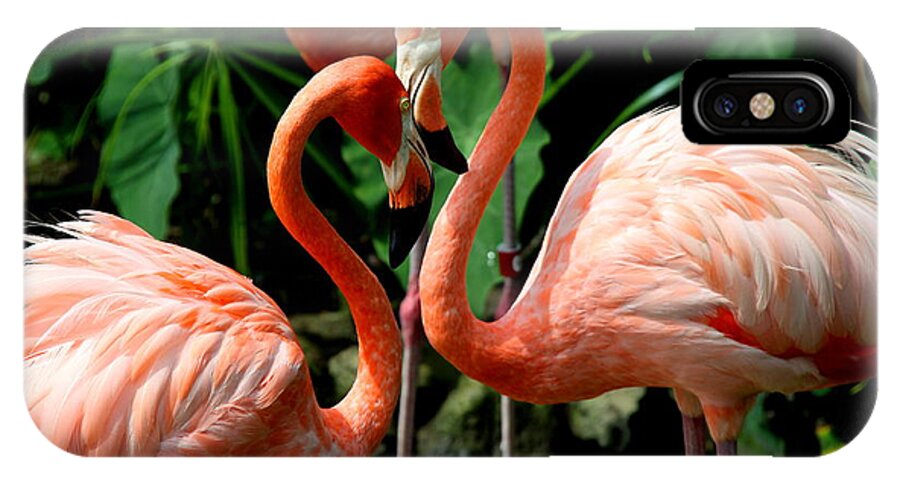 Pink Flamingo iPhone X Case featuring the photograph Flamingo Heart by Barbara Bowen