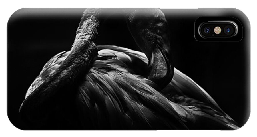 Flamingo iPhone X Case featuring the photograph Flamingo by Ryan Smith