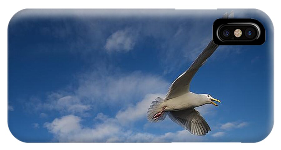 Seagull iPhone X Case featuring the photograph Flier by Rick Takagi