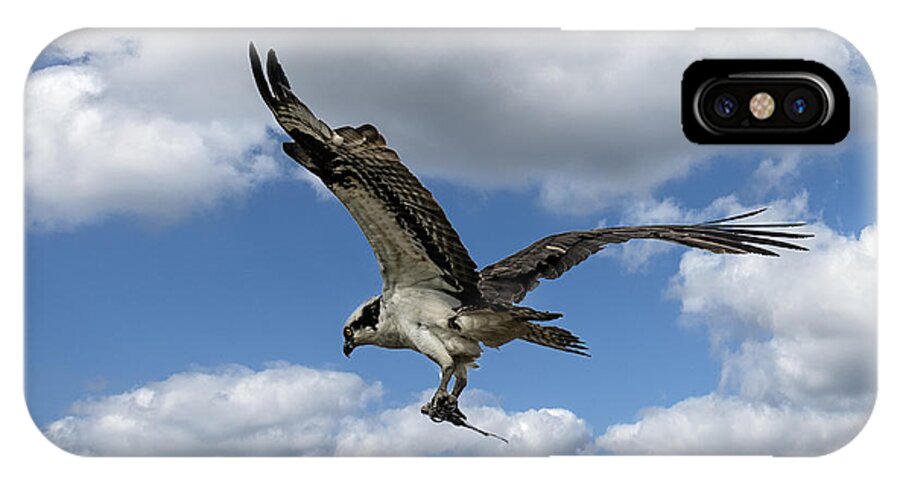 Bird iPhone X Case featuring the photograph Flight Among The Clouds by William Bitman