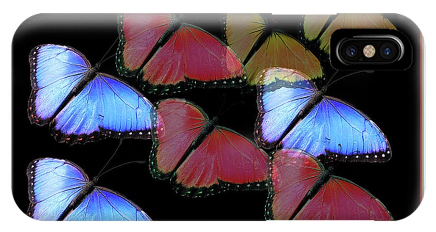 Butterfly iPhone X Case featuring the photograph Flight of the Butterflies by Rosalie Scanlon