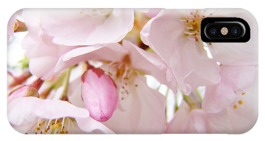 Blossom iPhone X Case featuring the photograph Floral Soft Pink Blossoms Spring Art Baslee Troutman by Patti Baslee