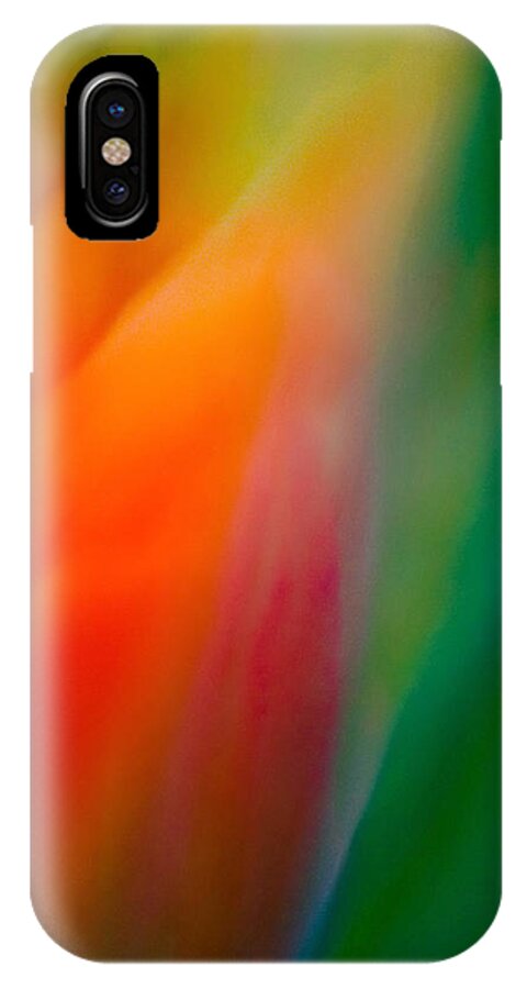 Tulip iPhone X Case featuring the photograph Flow by Neil Shapiro