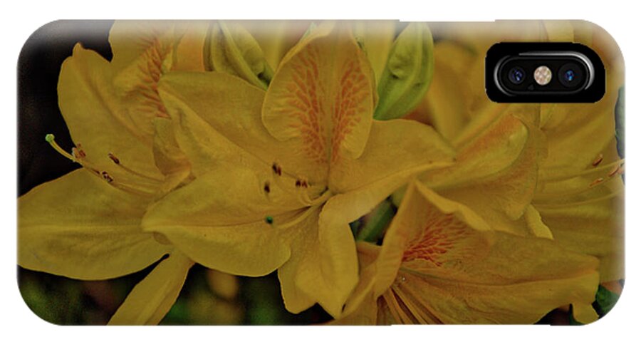 Belgium iPhone X Case featuring the photograph Flower 6 by Ingrid Dendievel