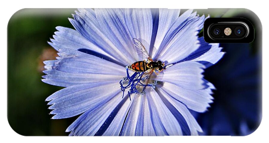 Blue iPhone X Case featuring the photograph Flower and Bee 2 by Joe Faherty