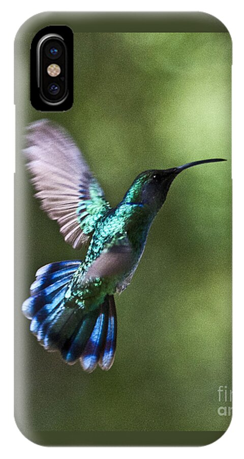 Bird iPhone X Case featuring the photograph Flying Emerald by Heiko Koehrer-Wagner