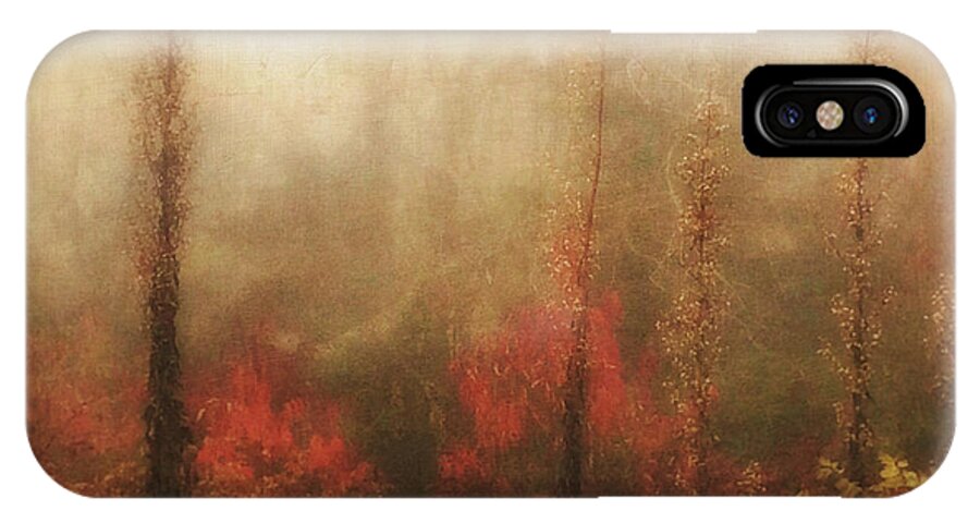 Photography iPhone X Case featuring the photograph Foggy Fall on the Parkway by Melissa D Johnston