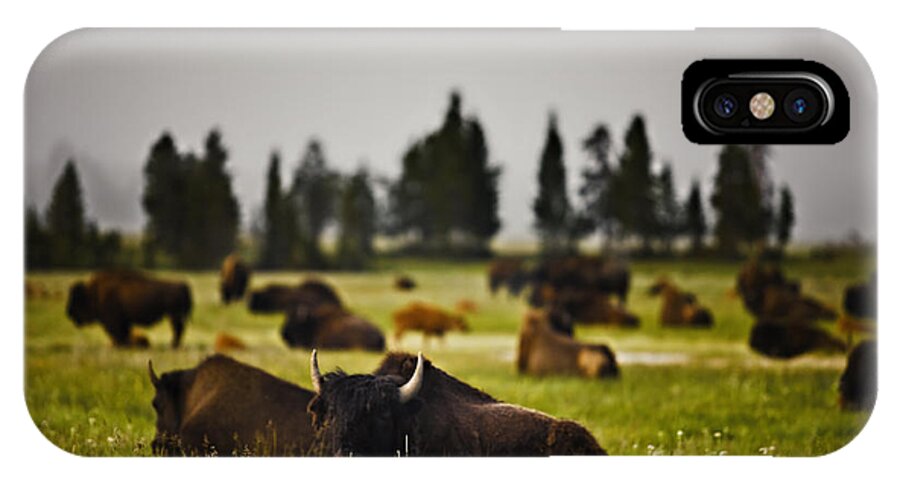 Nature iPhone X Case featuring the photograph Foggy Herd by John K Sampson
