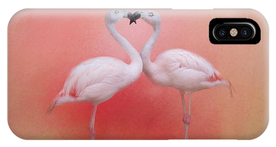Flamingos iPhone X Case featuring the photograph Fond Flamingos by TK Goforth