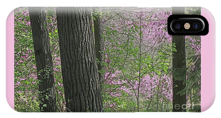 Spring iPhone X Case featuring the photograph Forest Abloom by Ann Horn