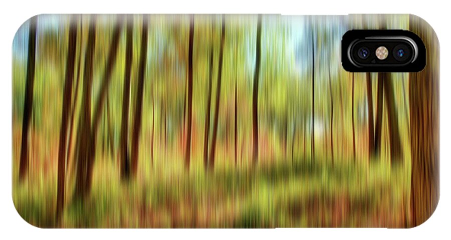 Trees iPhone X Case featuring the photograph Forest Vision by Ches Black