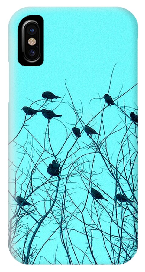Blue iPhone X Case featuring the photograph Four and Twenty Blackbirds by Karen Wagner