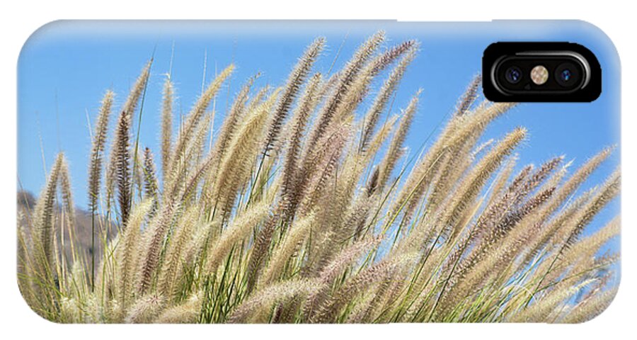 Foxtails iPhone X Case featuring the photograph Foxtails on a Hill by Leah McPhail