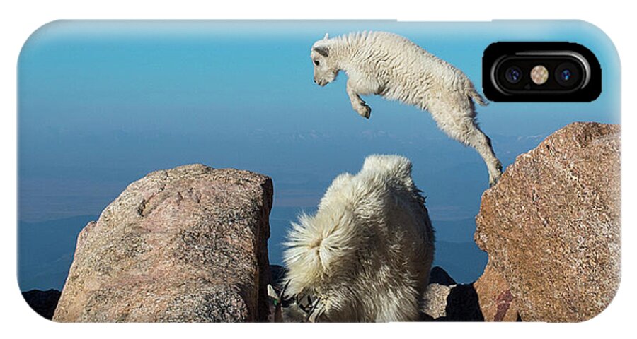 Mountain Goat iPhone X Case featuring the photograph Leaping baby mountain goat by Judi Dressler