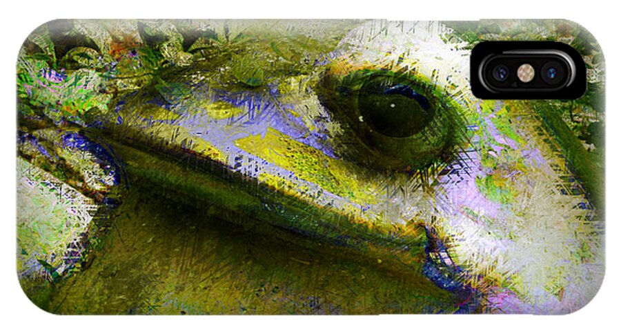 Frog iPhone X Case featuring the photograph Frog in the Pond by Lori Seaman