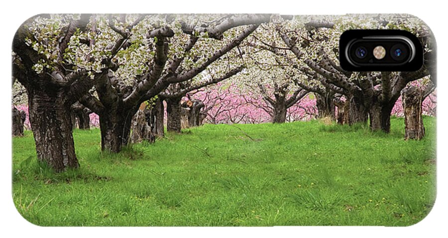 Orchard iPhone X Case featuring the photograph Fruit Orchard by Douglas Pulsipher