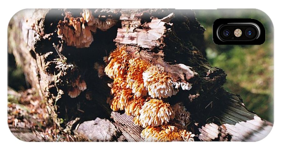 Fungus iPhone X Case featuring the photograph Fungus is Beautiful by David Bader