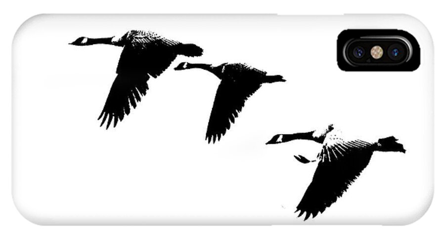 Geese iPhone X Case featuring the photograph Geese by Harry Moulton