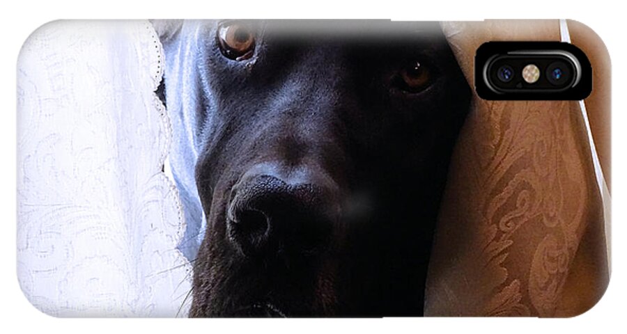 Great Dane iPhone X Case featuring the photograph Gentle Giant by Theresa Campbell